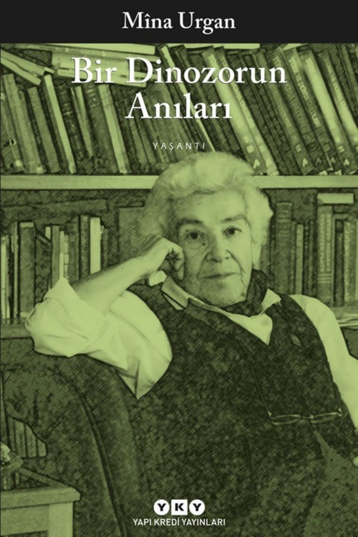 Bir Dinozorun Anıları