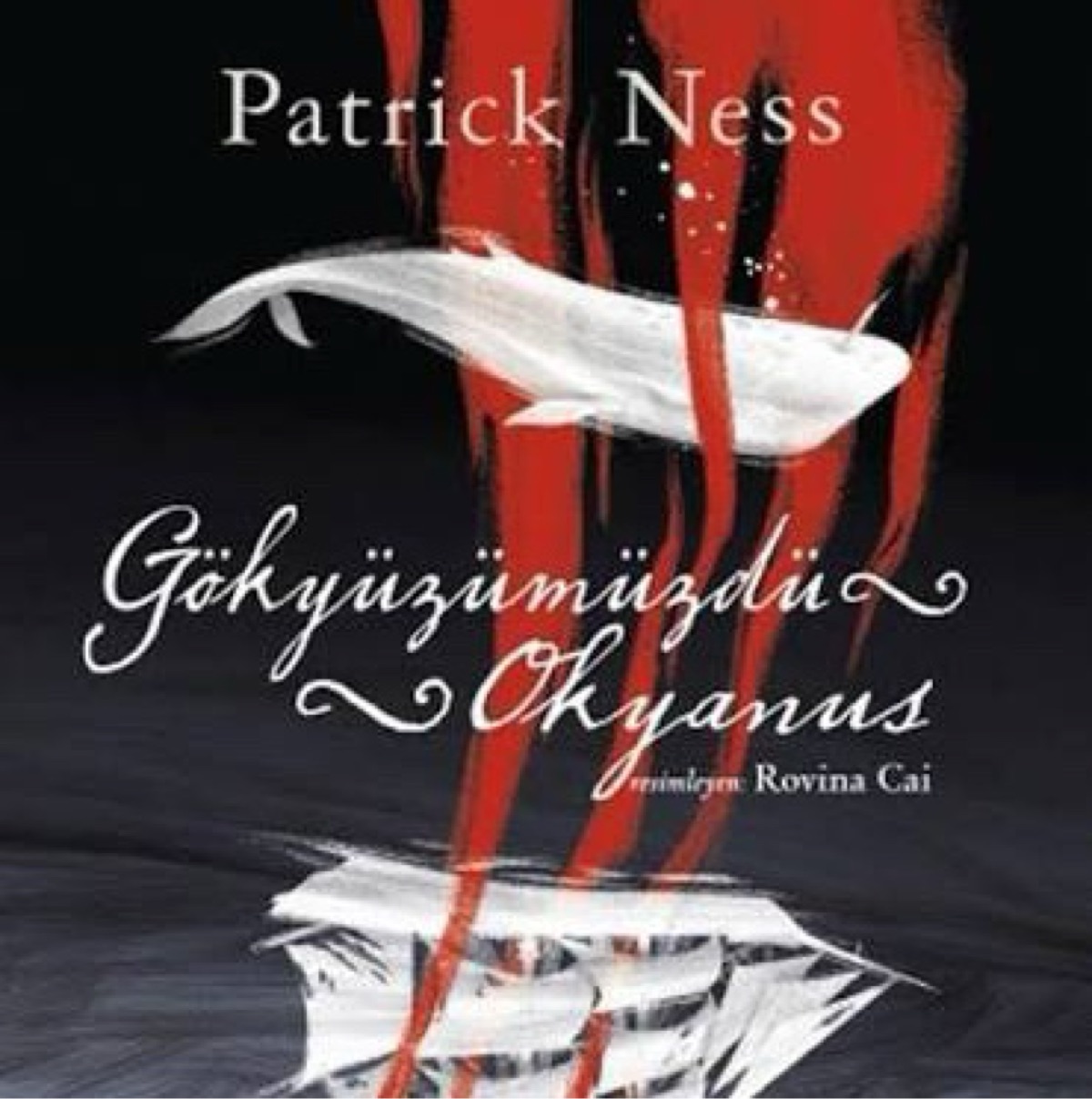 Gökyüzümüzdü Okyanus by Patrick Ness — book cover