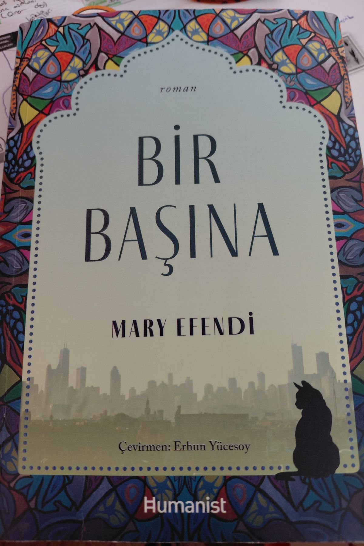 Bir Başına