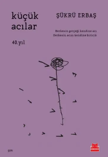 Küçük Acılar by Şükrü Erbaş — book cover