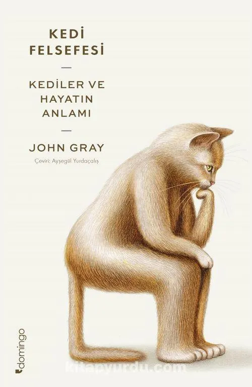 Kedi Felsefesi by John Gray — book cover