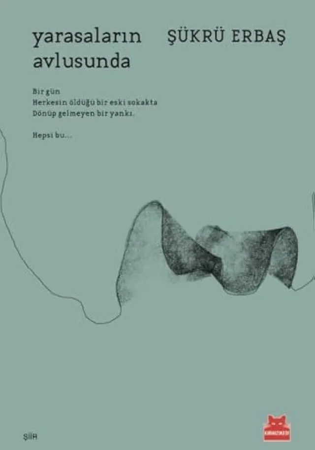 Yarasaların Avlusunda by Şükrü Erbaş — book cover