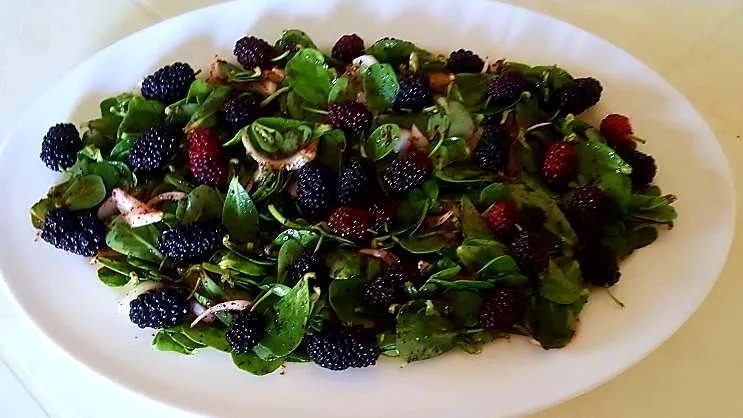 سلطة الفرفاحين مع التوت