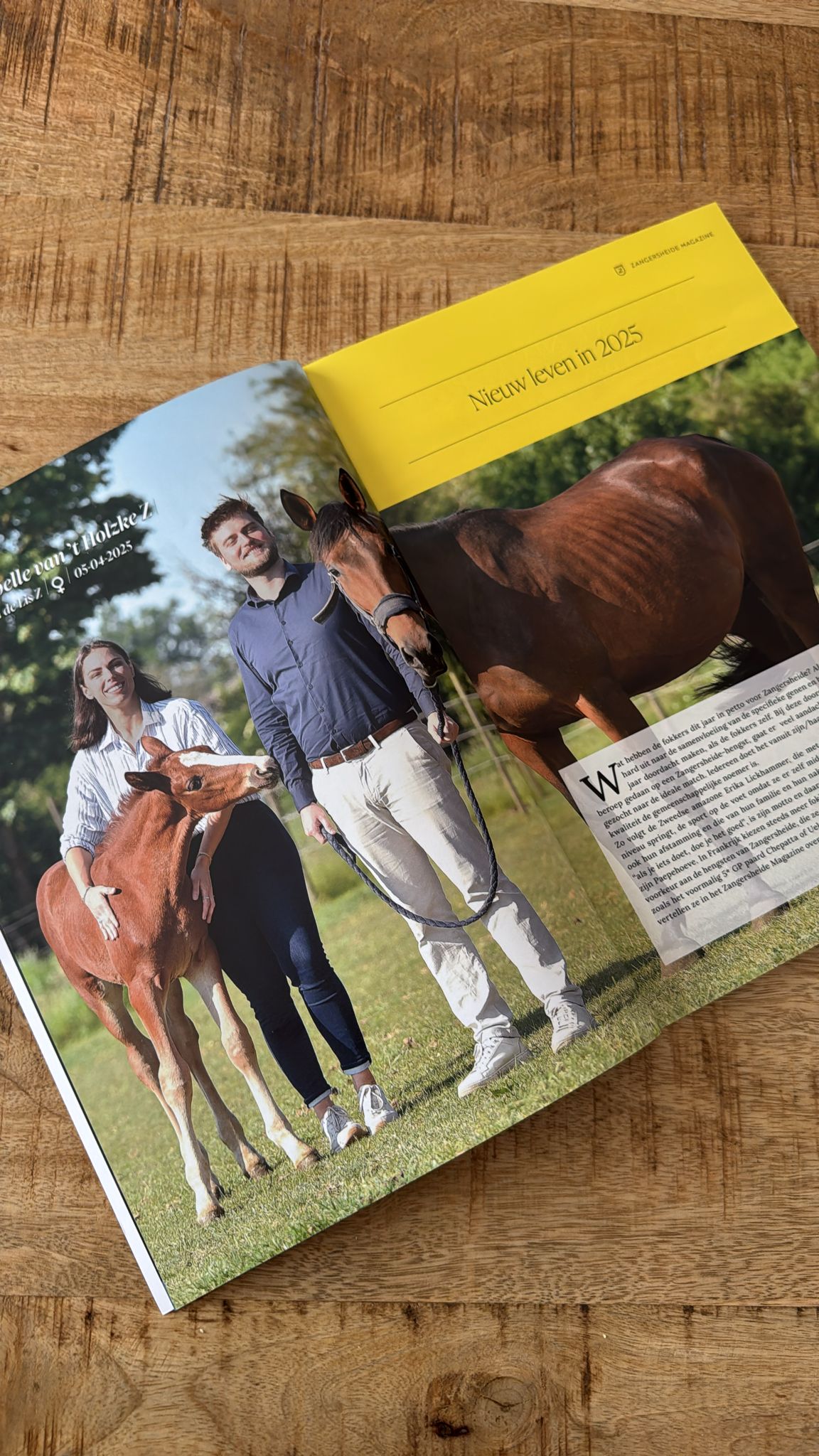 Featured in Zangersheide magazine