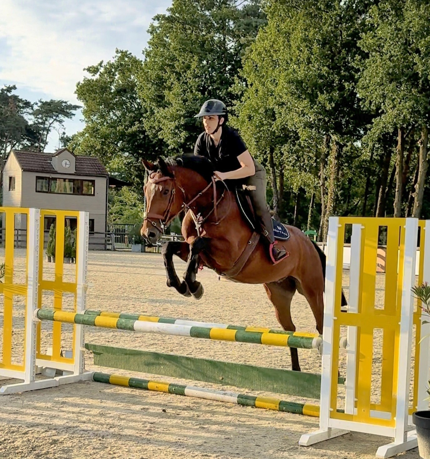 Thumbnail of Valeir van Boonenbos 2