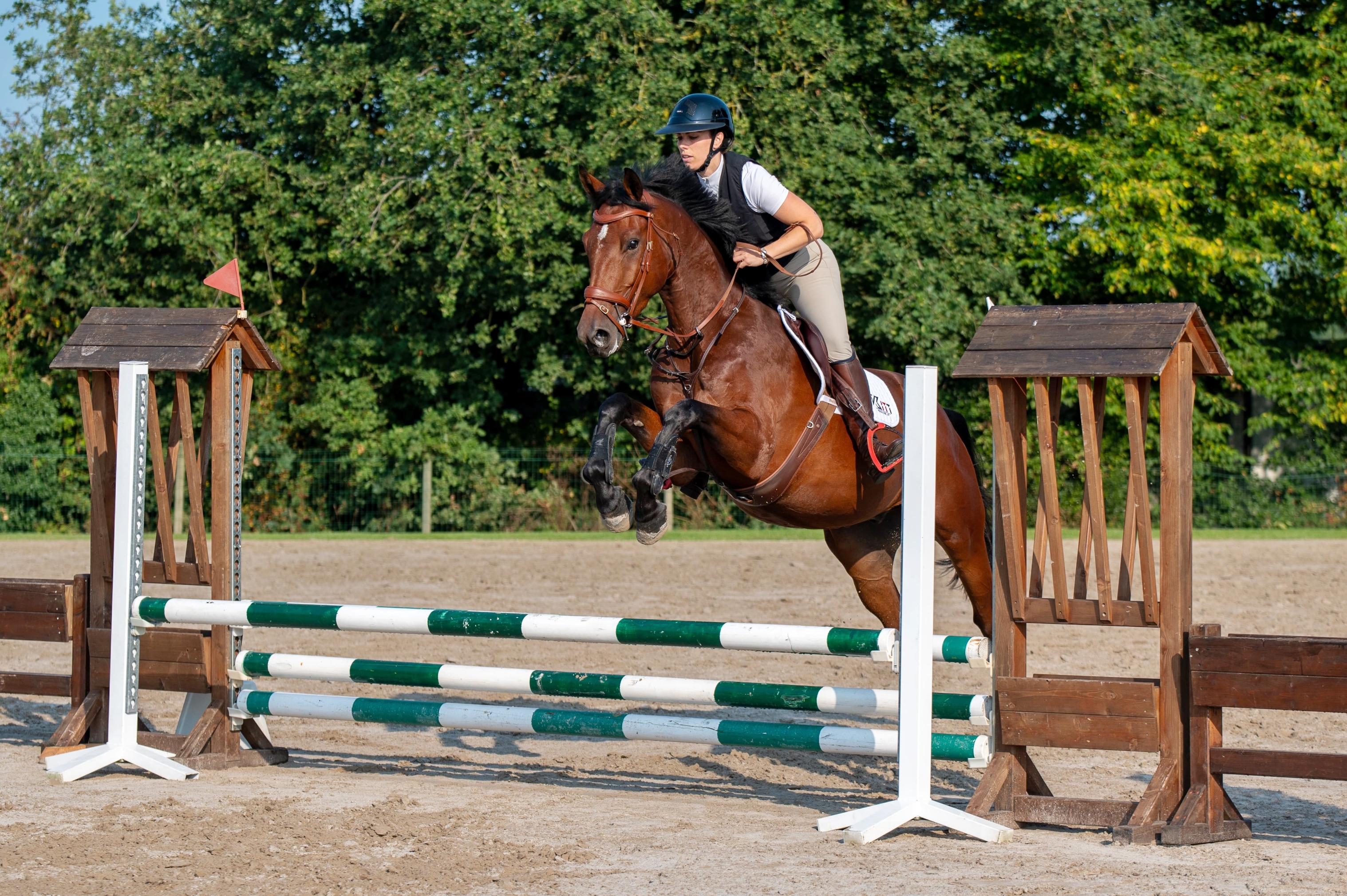 Thumbnail of Valeir van Boonenbos 3