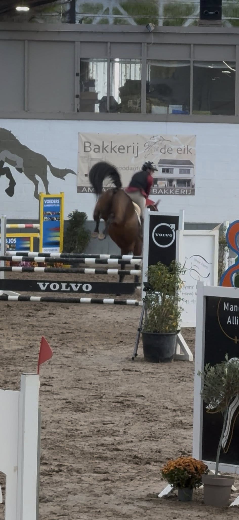 Thumbnail of Valeir van Boonenbos 4