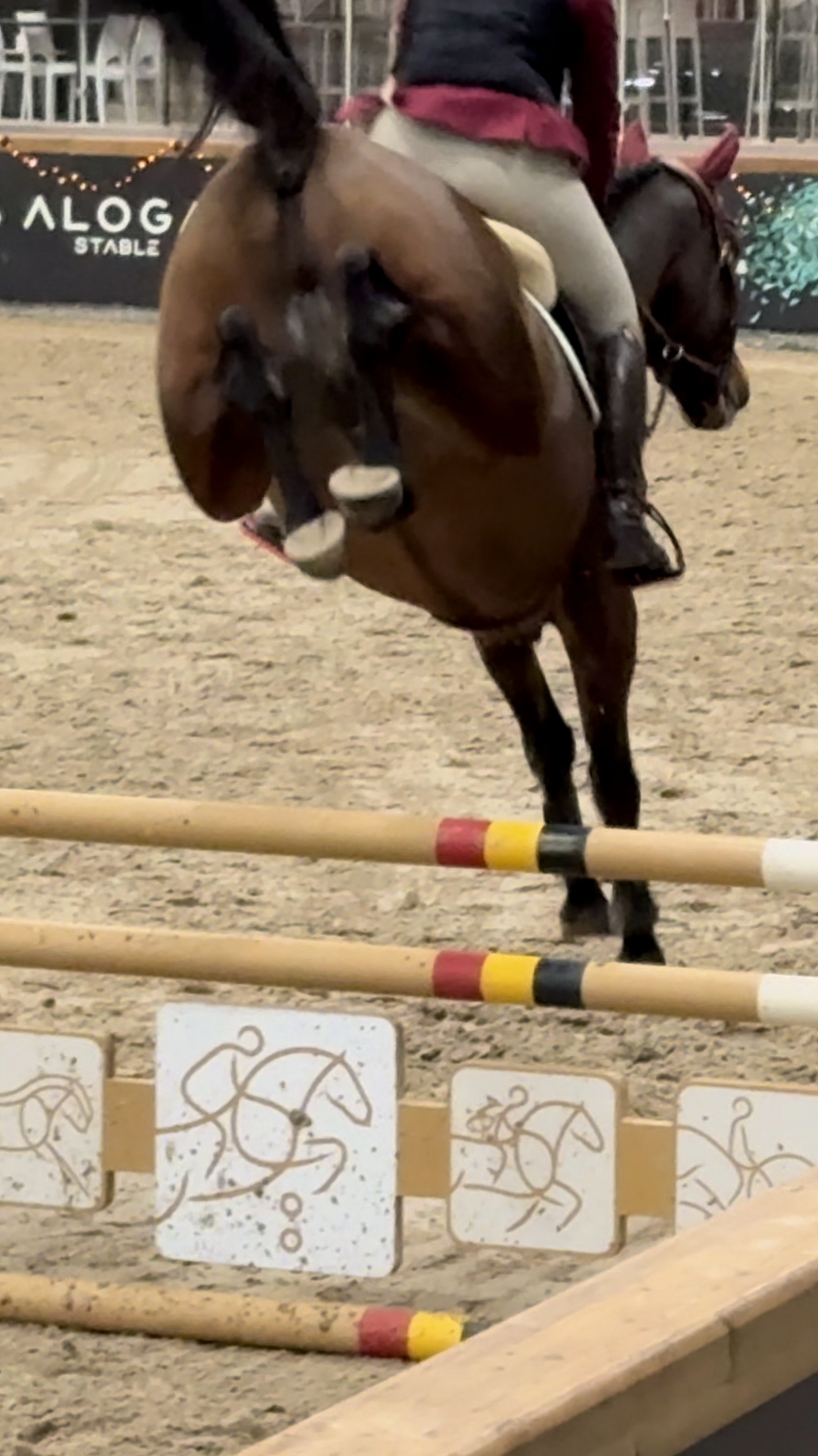 Thumbnail of Valeir van Boonenbos 4