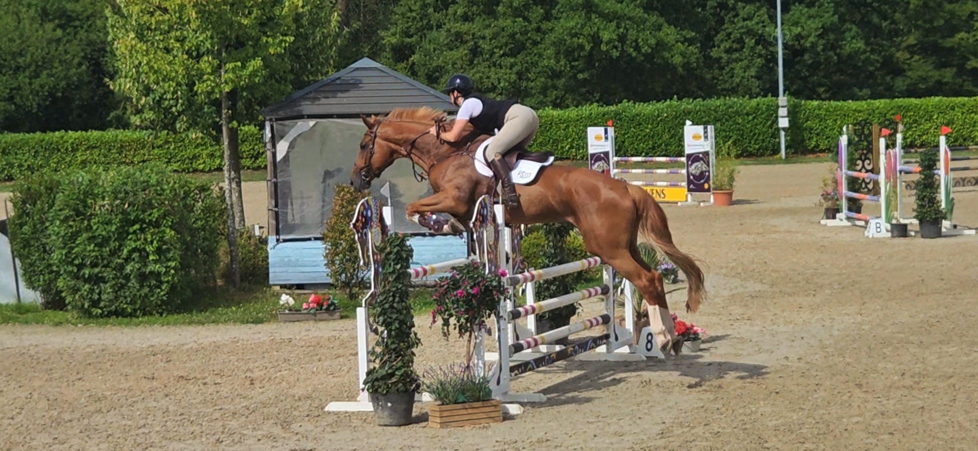 Thumbnail of Odette K 2