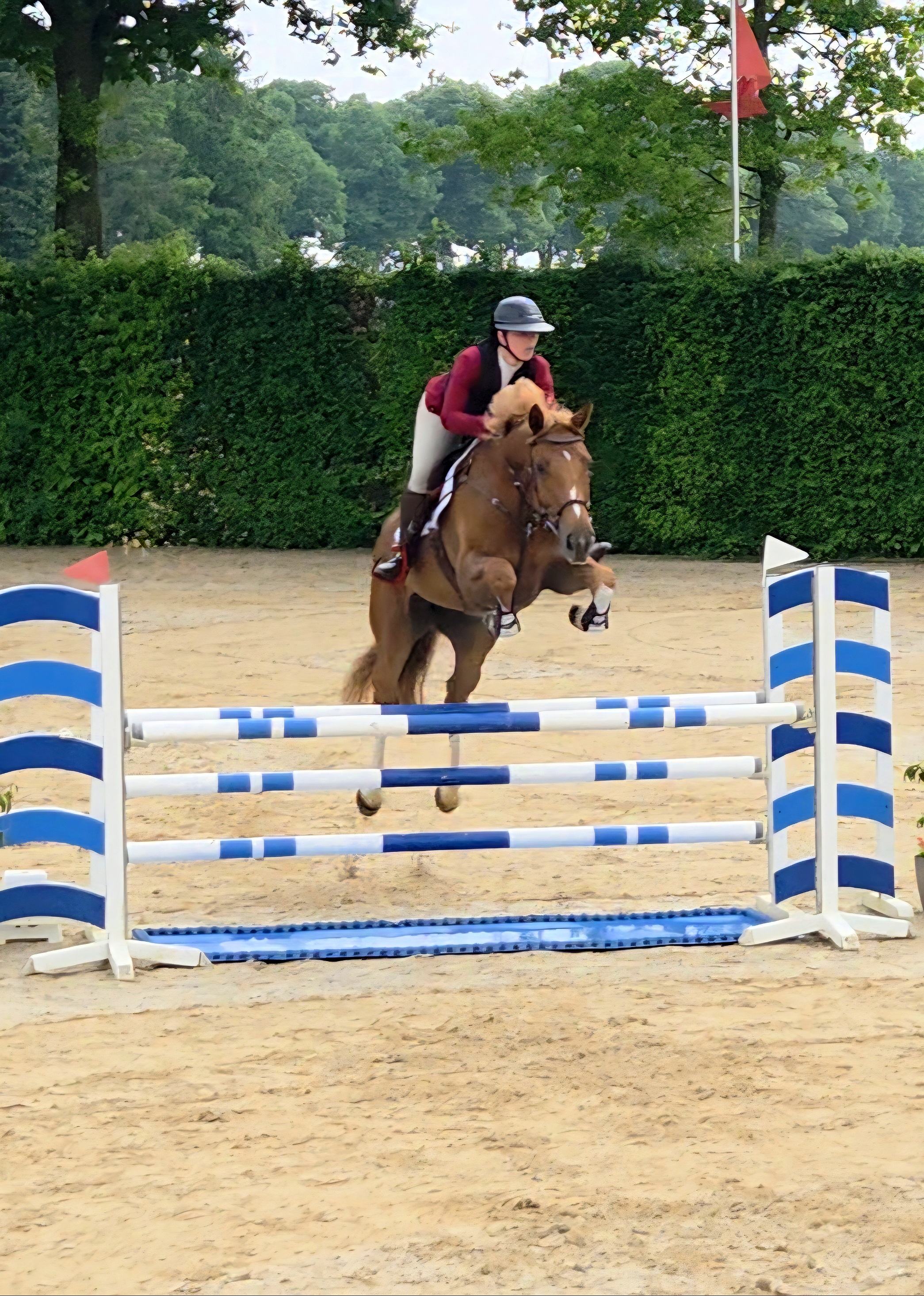 Thumbnail of Odette K 3