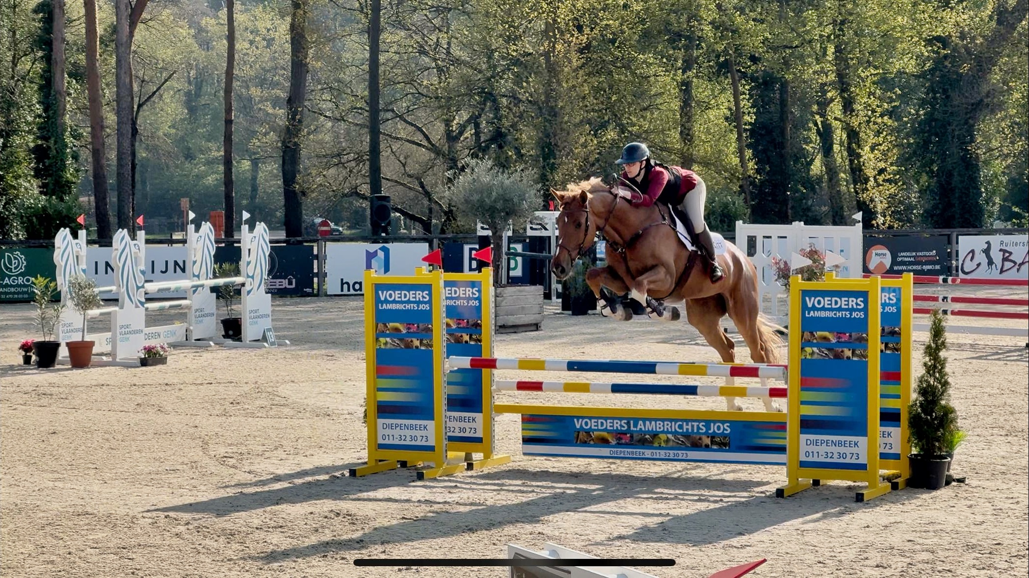 Thumbnail of Odette K 4