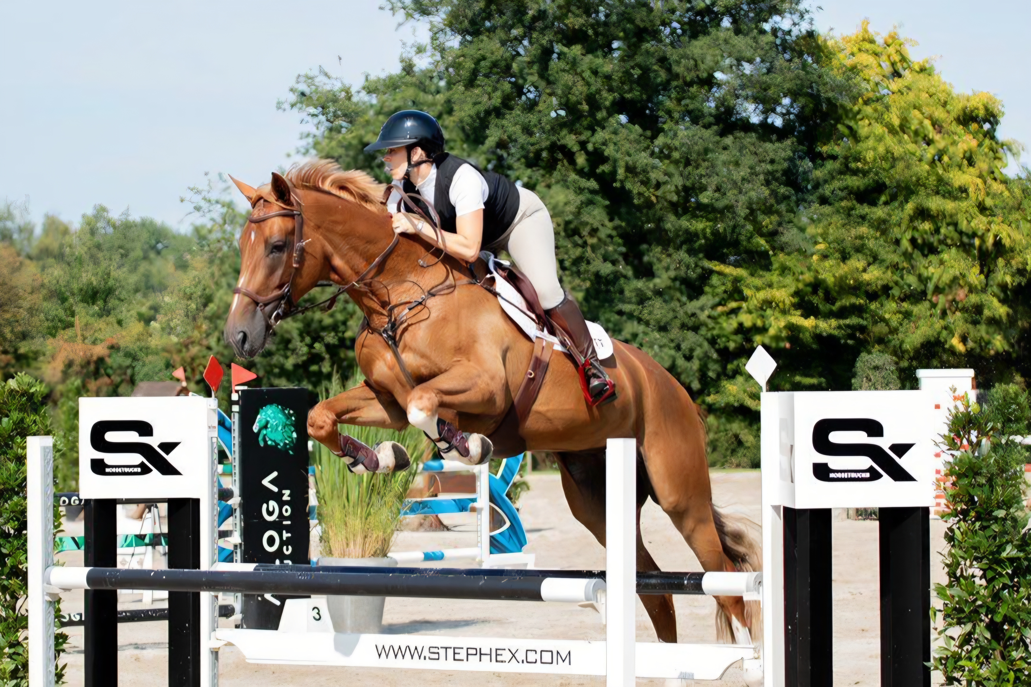 Thumbnail of Odette K 5