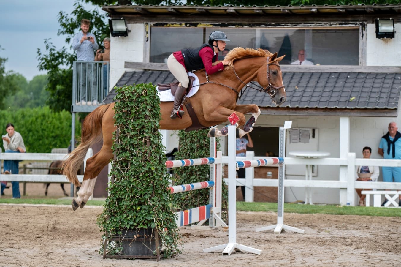 Thumbnail of Odette K 6