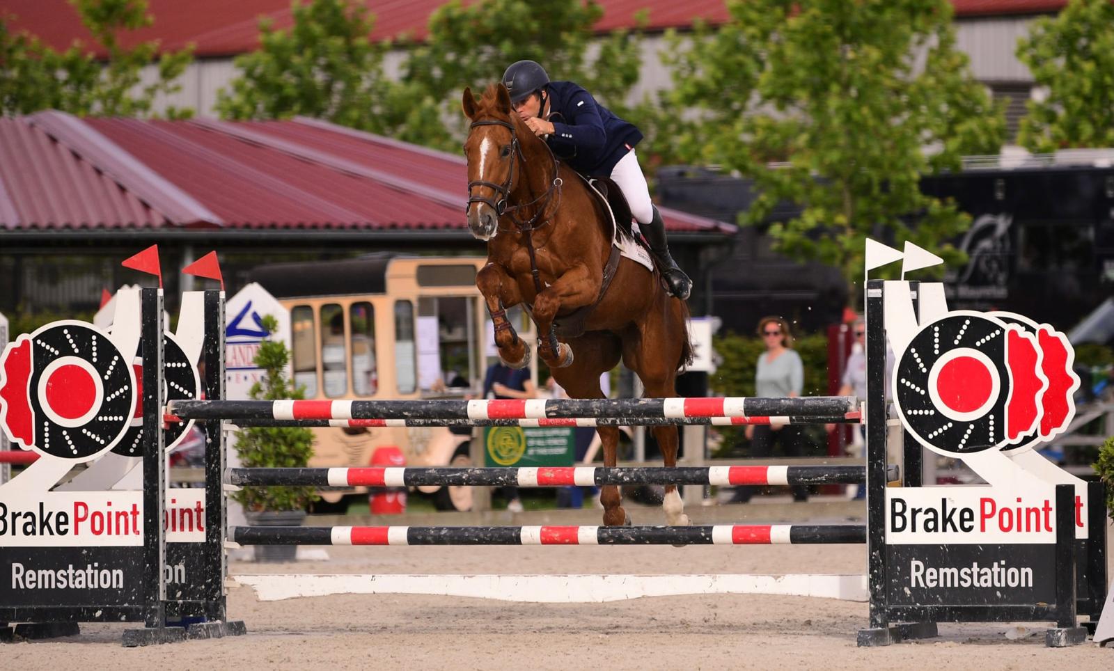Peter springpaard showjumping Keulen Hermans stables stal