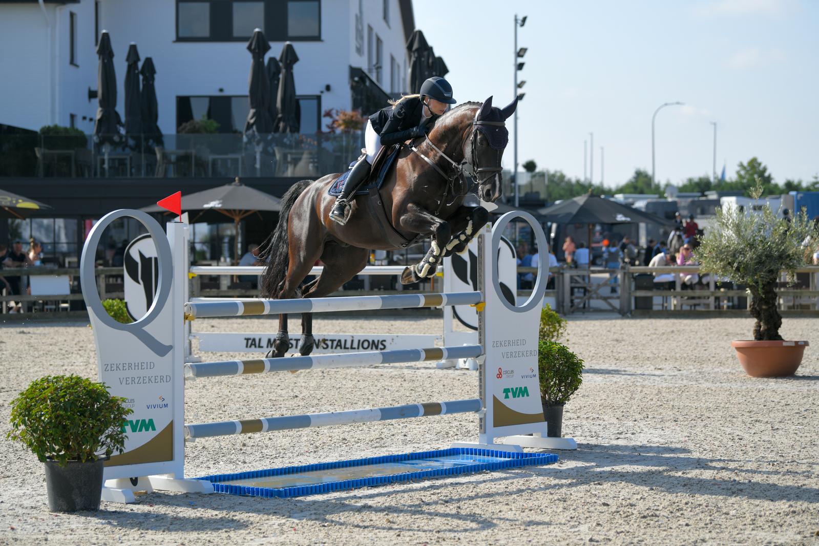 Isabeau springpaard showjumping Keulen Hermans stables stal