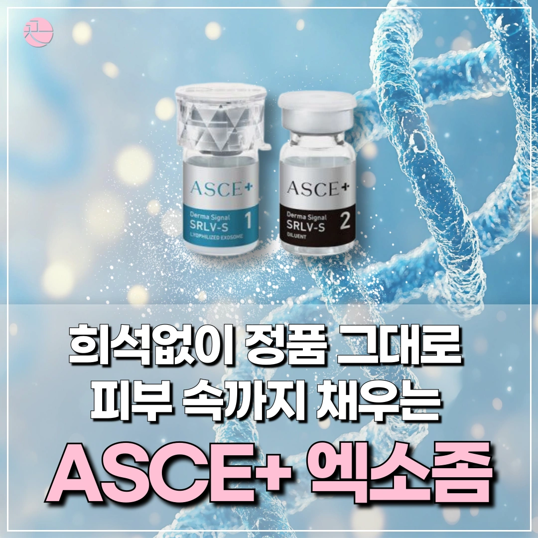 [피부 강화 자생력 증진] ASCE 엑소좀