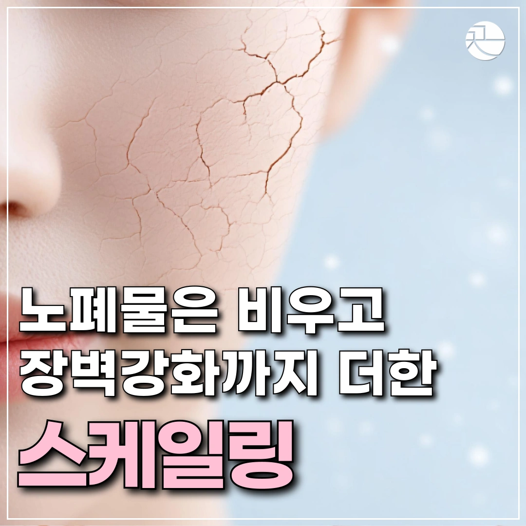 [4단계 스킨디톡스] 딥클렌징 스케일링 관리