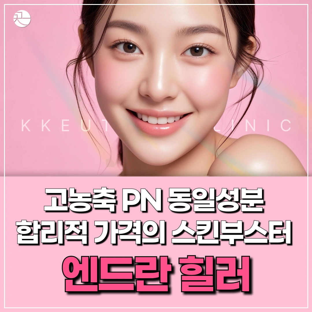  [PN 부스터] 엔드란힐러