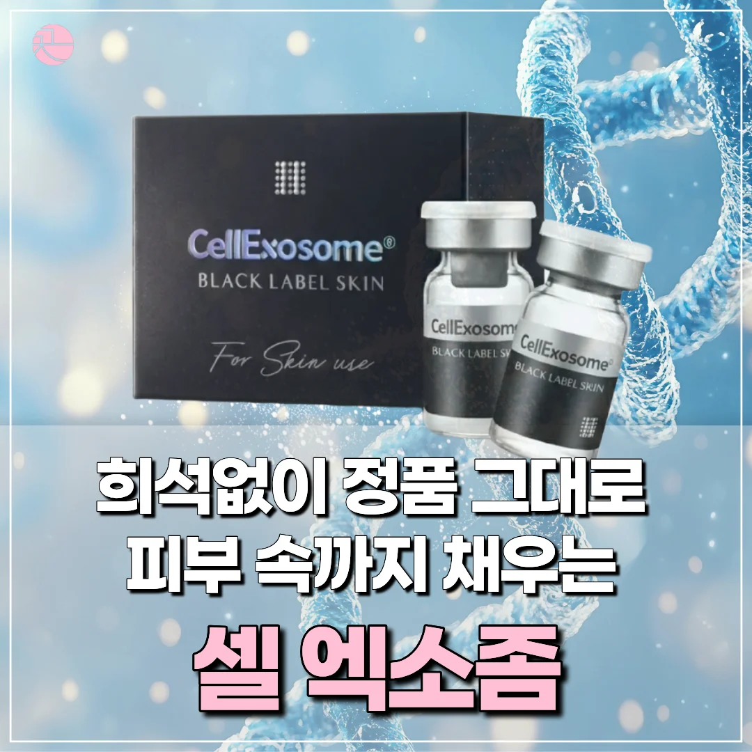 [피부 강화 자생력 증진] 셀 엑소좀