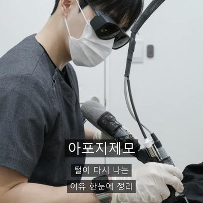 아포지제모, 털이 다시 나는 이유와 회차·간격 정리 이미지 1