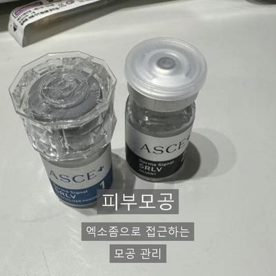 피부모공, 엑소좀으로 어떻게 개선할까? 이미지 1