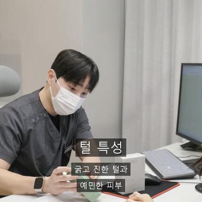 음모제모, 레이저제모 회차와 관리 총정리 이미지 2