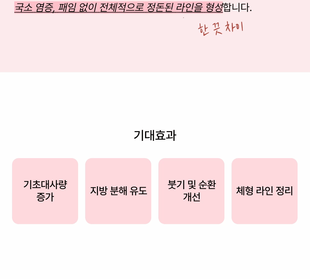 [바디 끗 이펙터] NO 스테로이드 지방분해주사