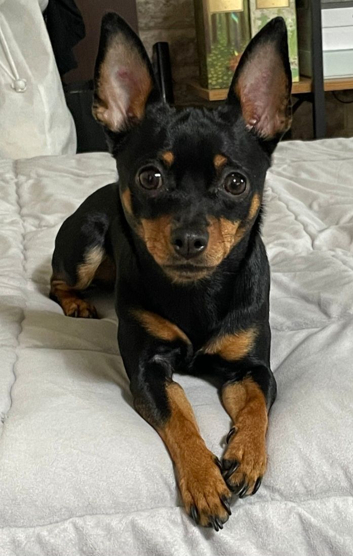 비몽의 프로필 사진