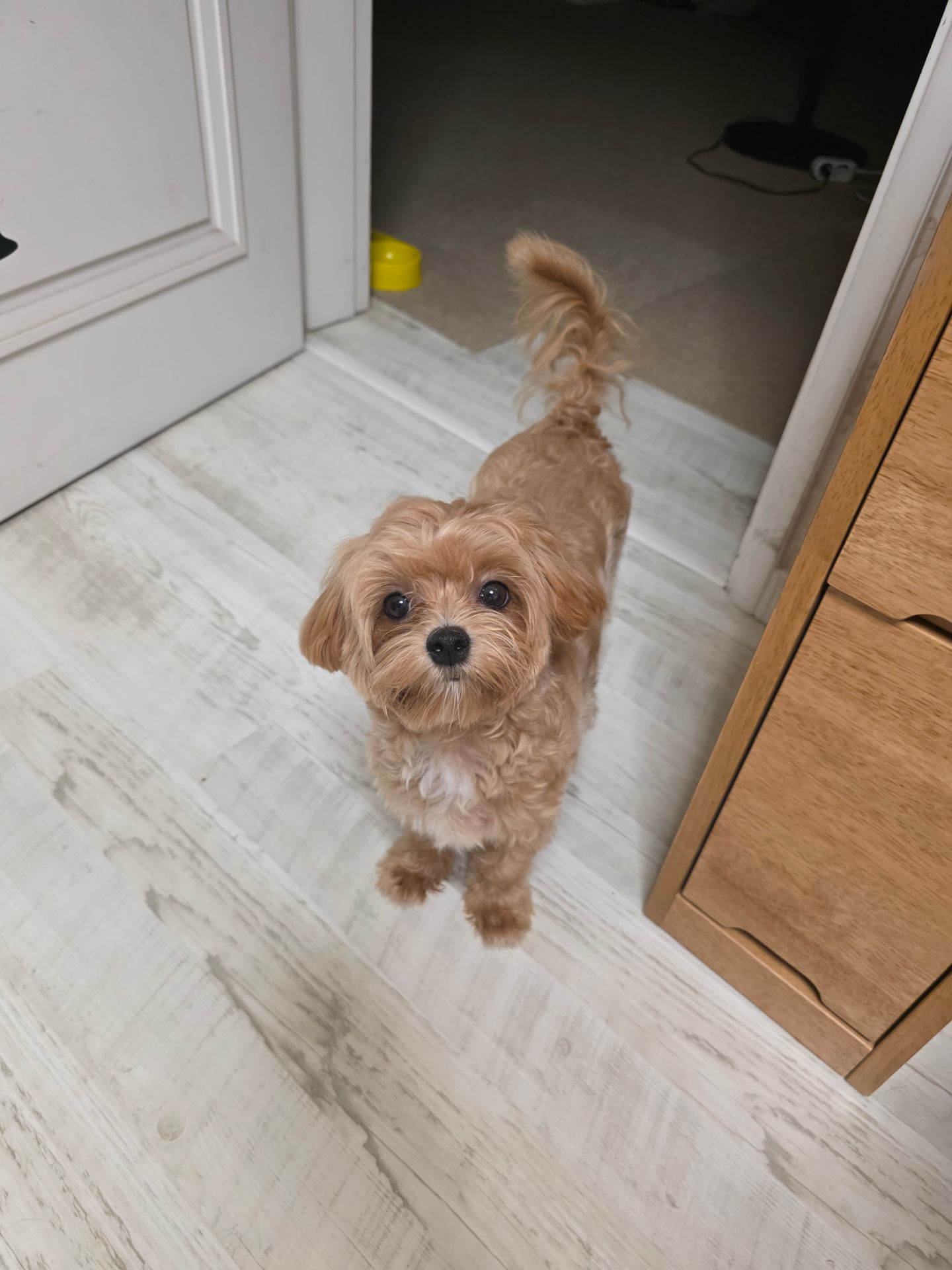 토리의 프로필 사진