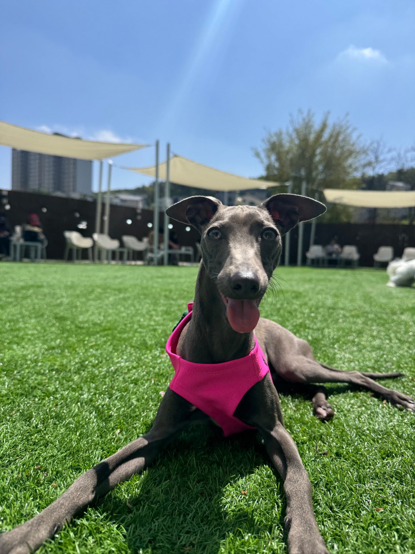 슬라의 프로필 사진