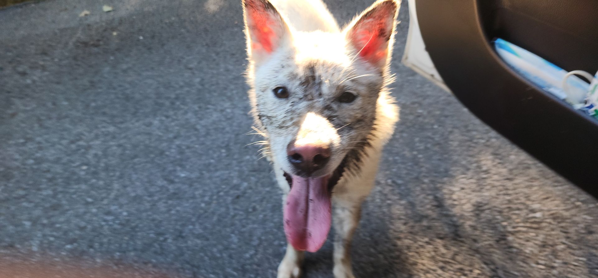 진의 프로필 사진