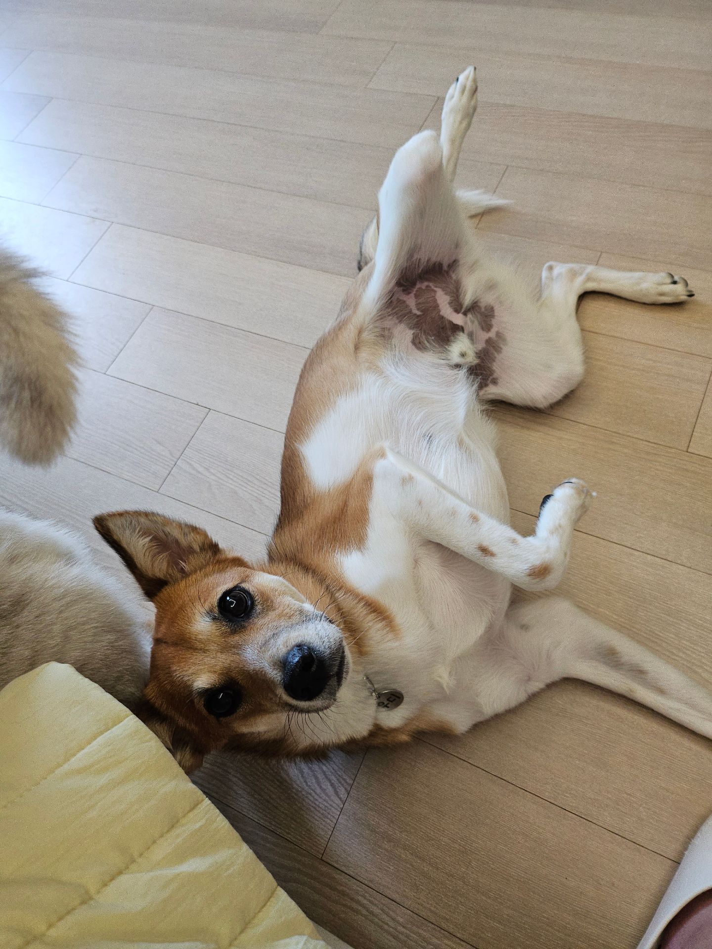 우디의 프로필 사진