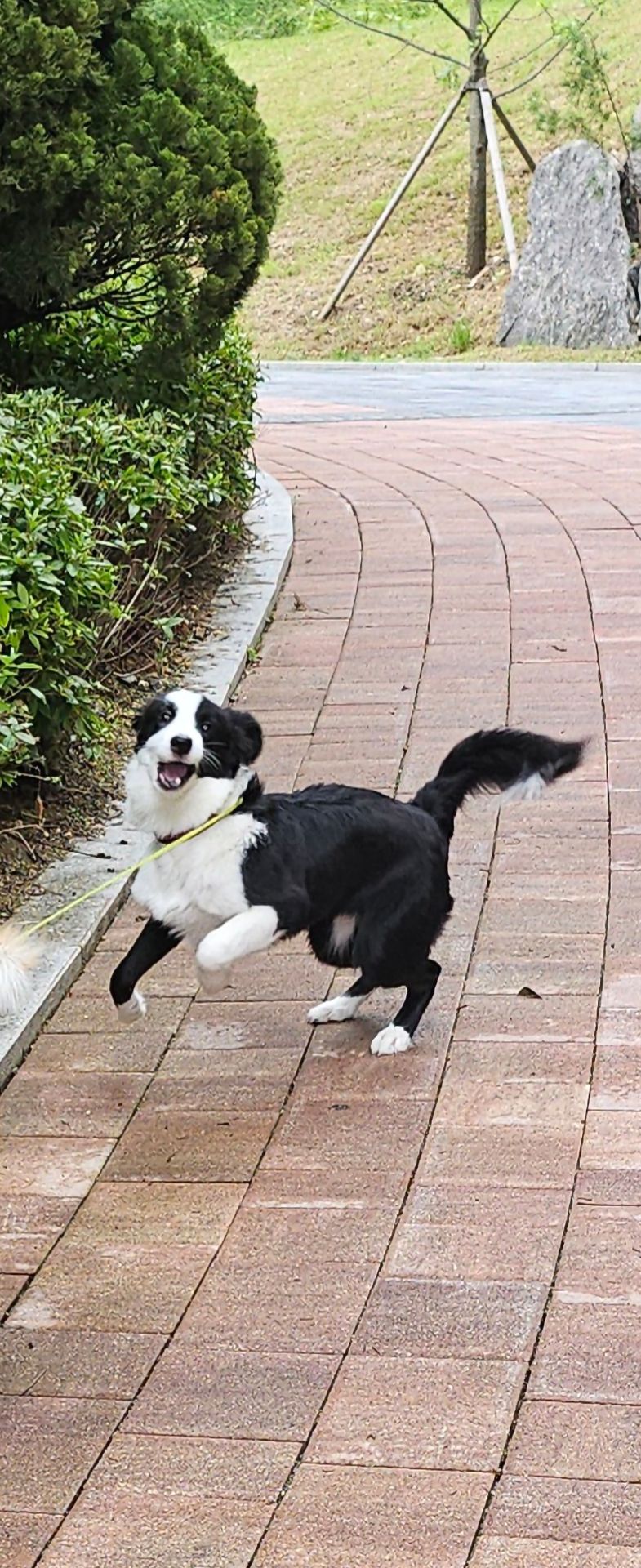 베니의 프로필 사진