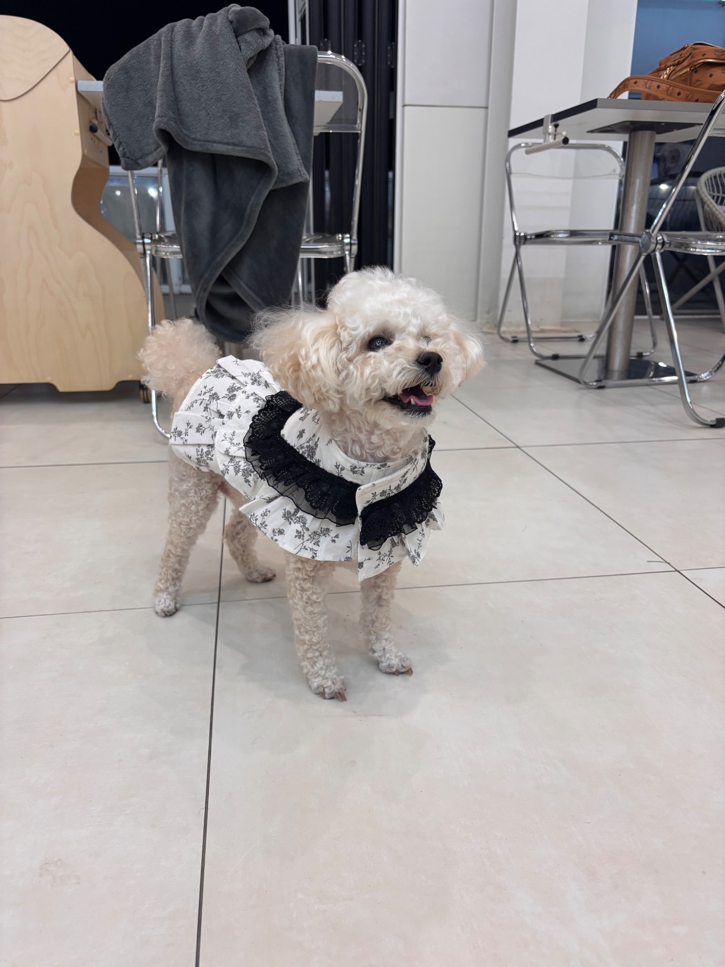 추에몽의 프로필 사진