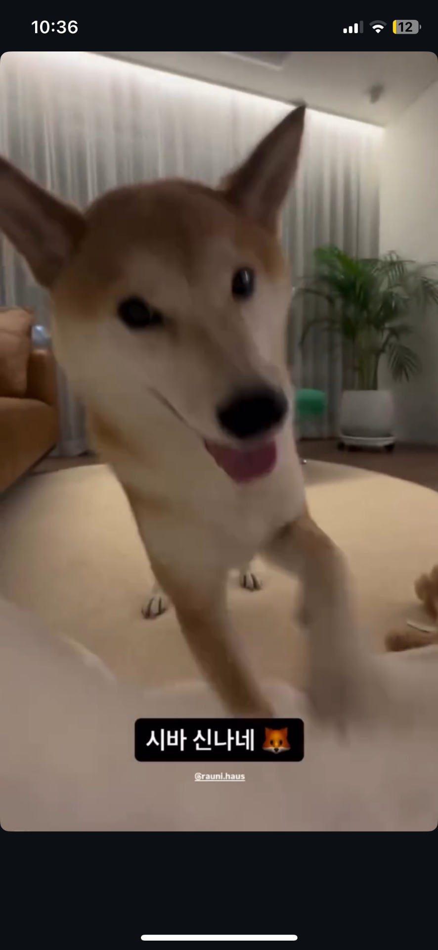 라운의 프로필 사진