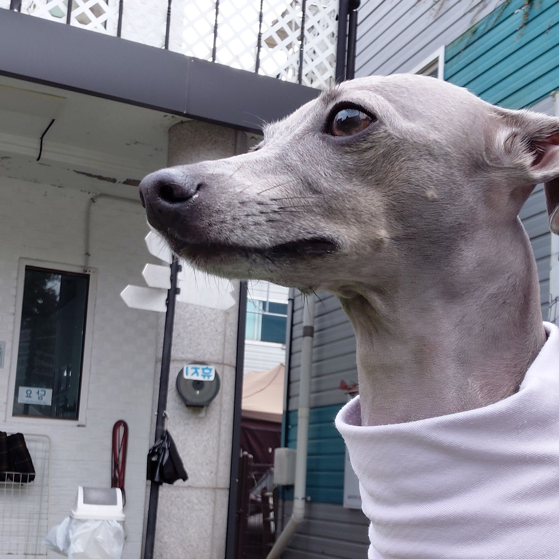 PP의 프로필 사진 1