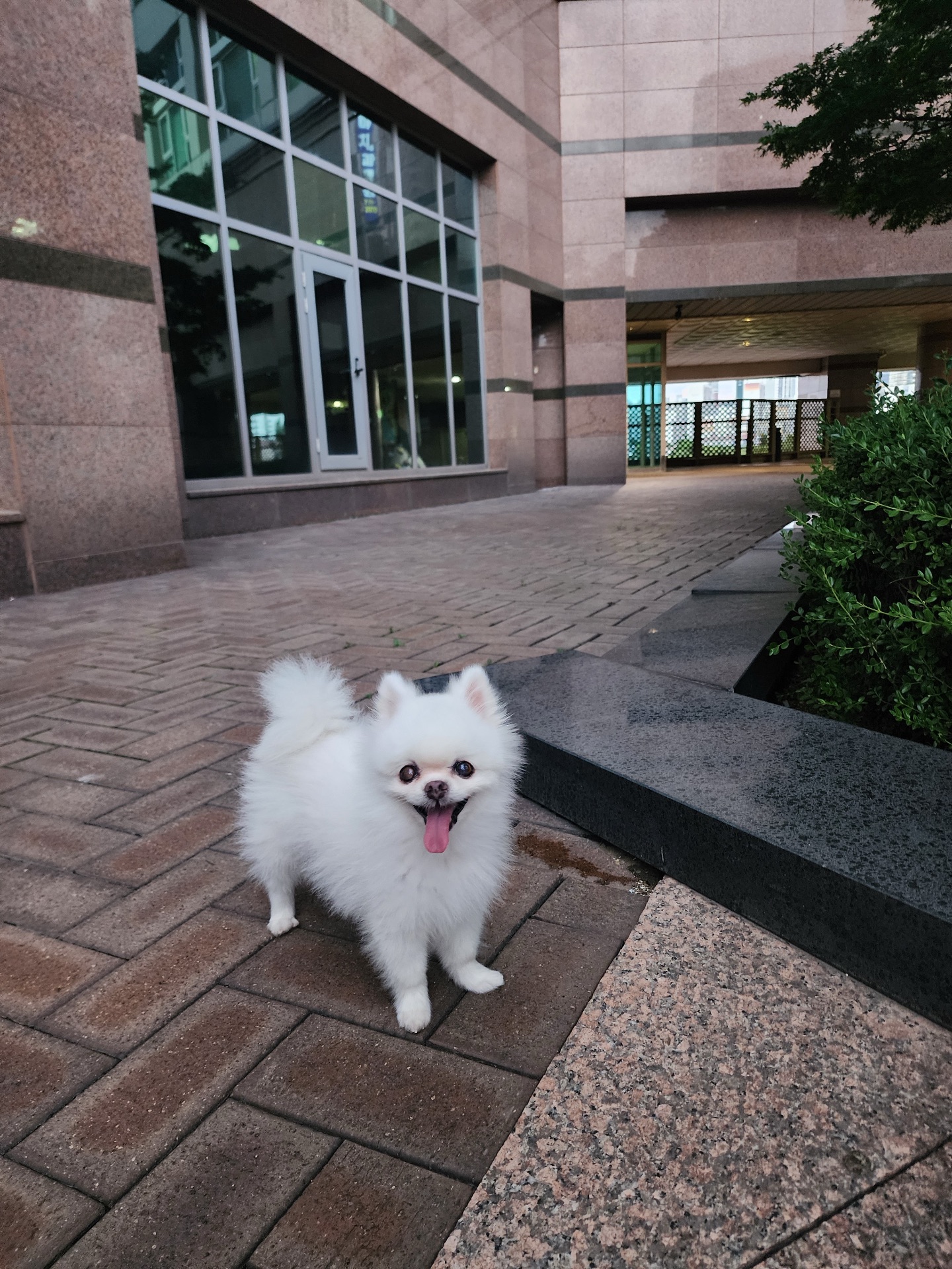 백설의 프로필 사진