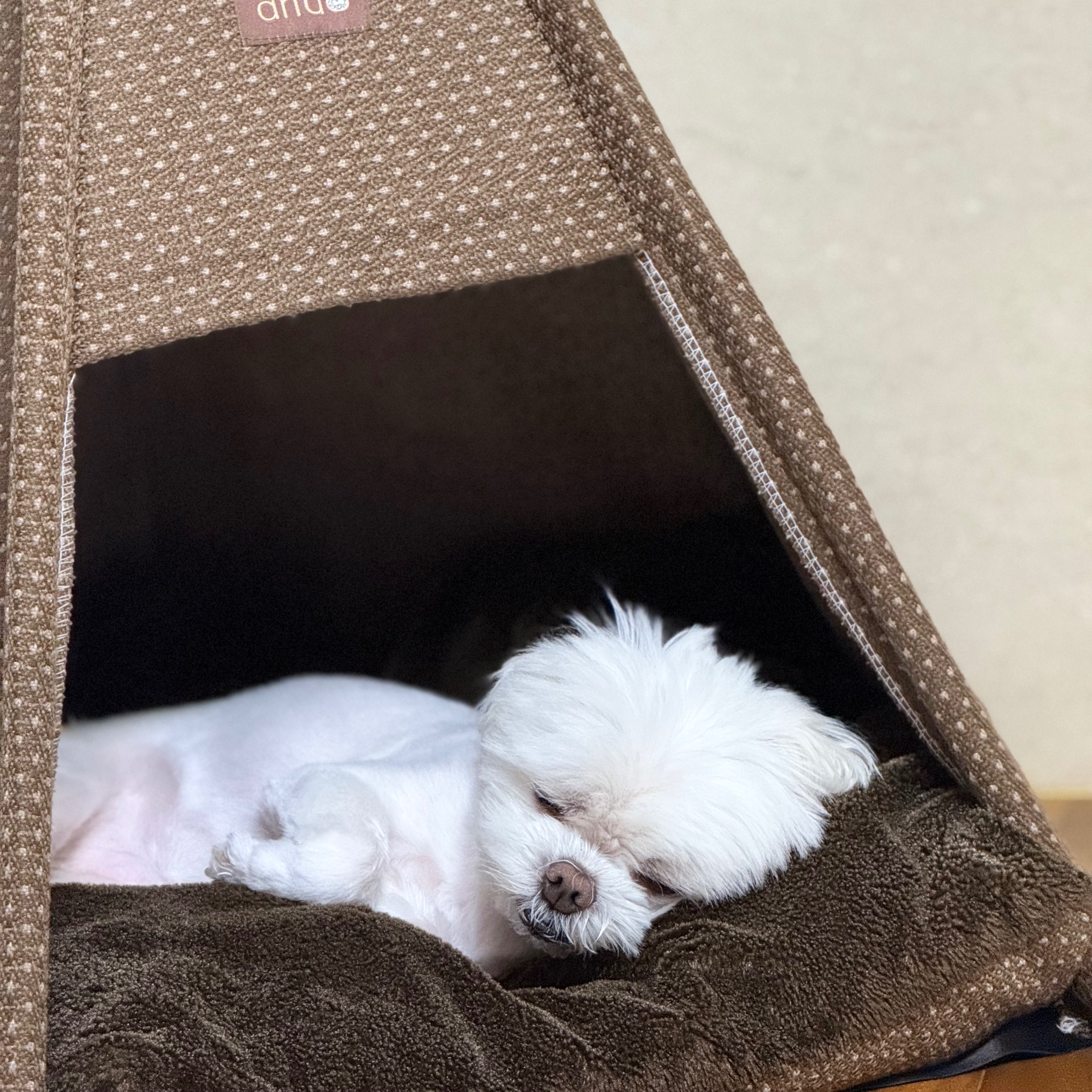 동이의 프로필 사진 4