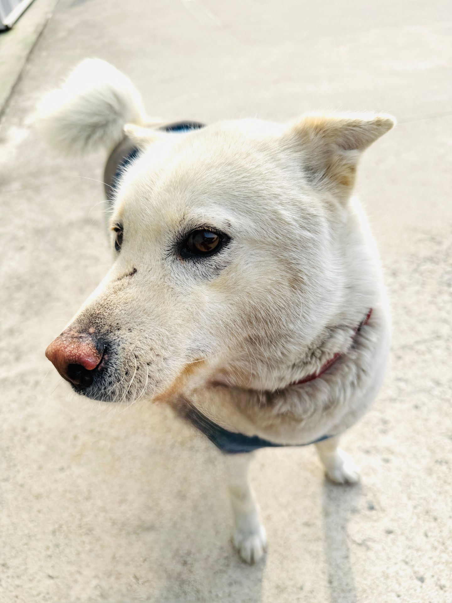 대추의 프로필 사진