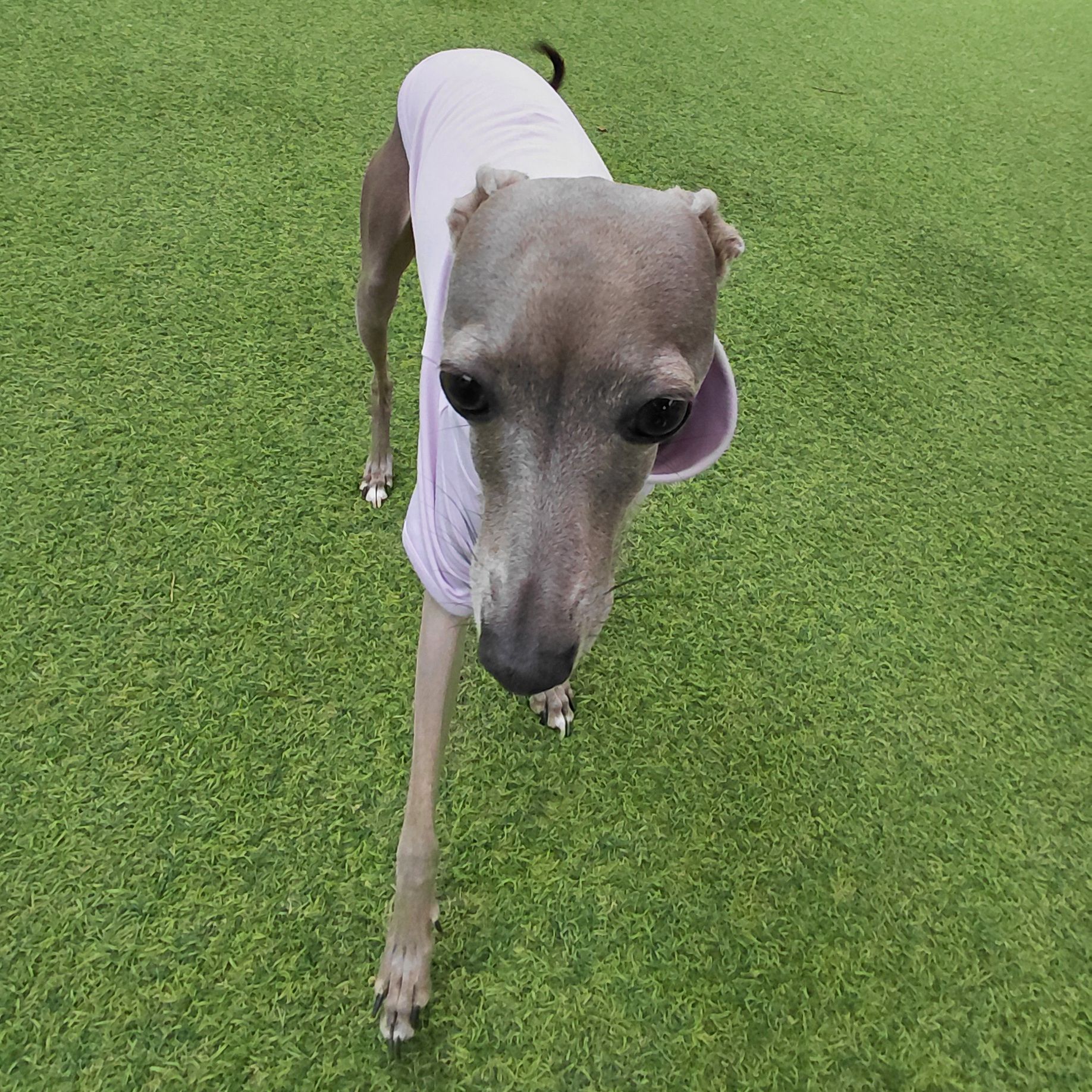 Gg의 프로필 사진 1