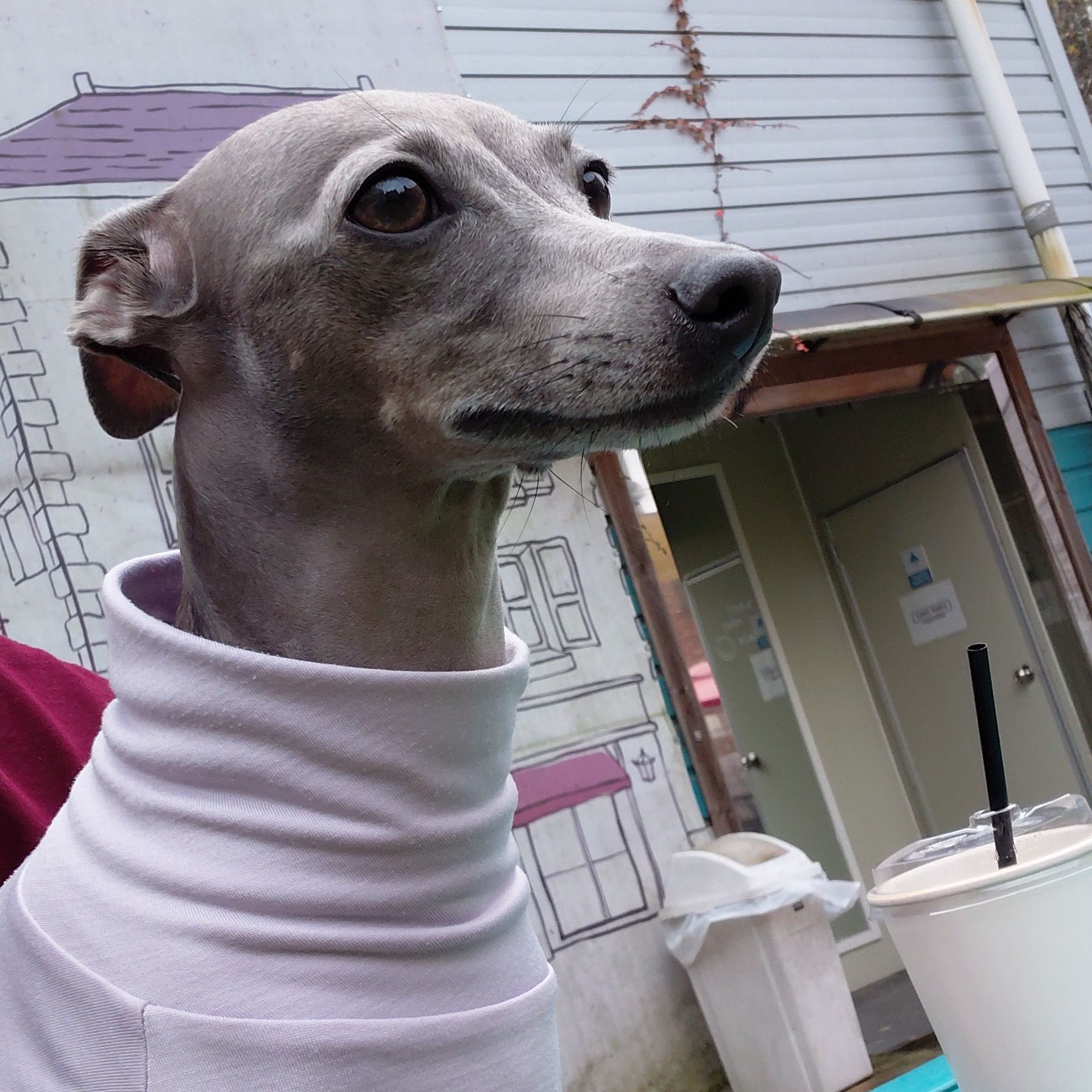 ㅎㅊ의 프로필 사진 1