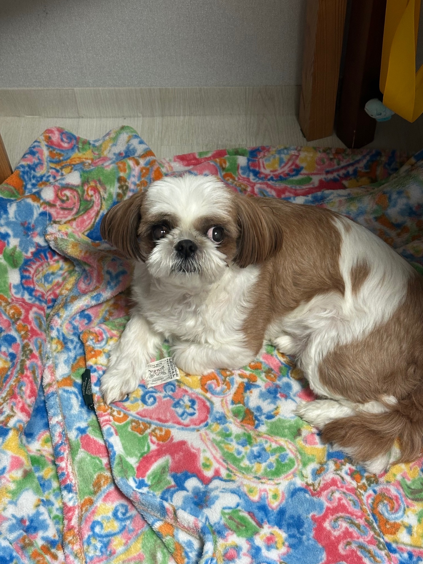 봉봉이의 프로필 사진