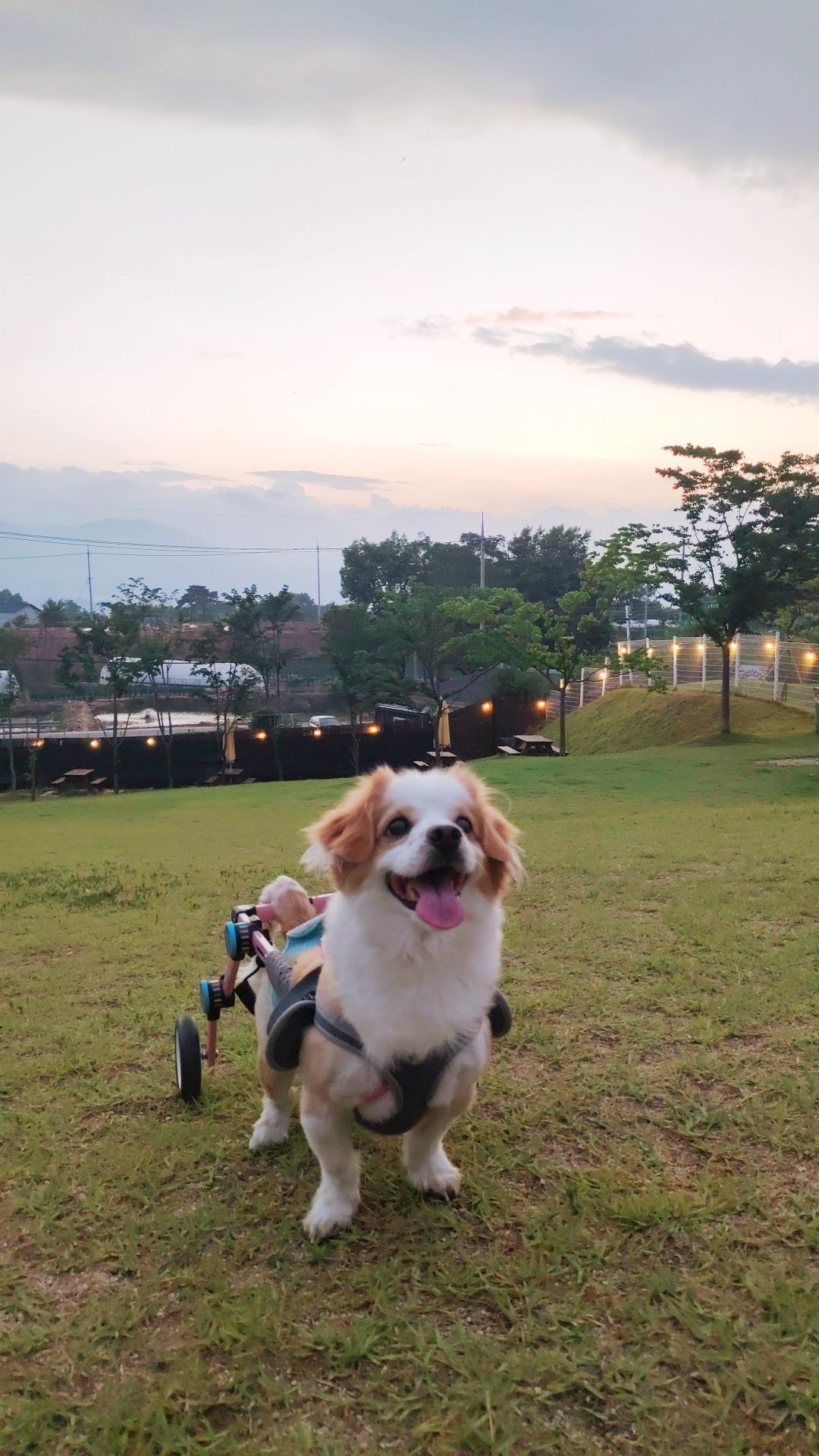 라떼의 프로필 사진 1