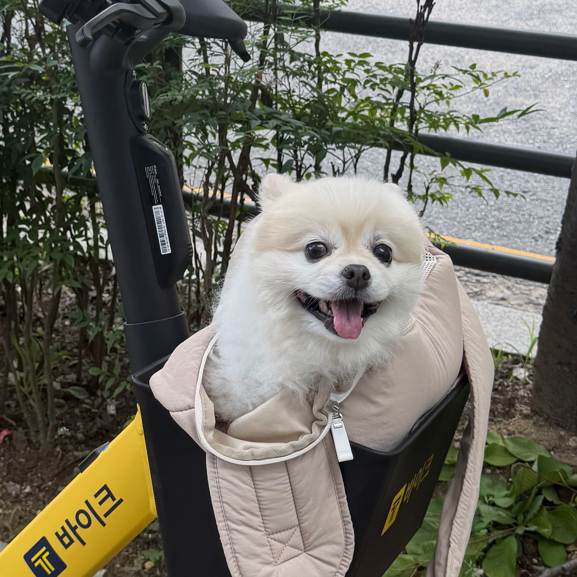 송송이의 프로필 사진 1