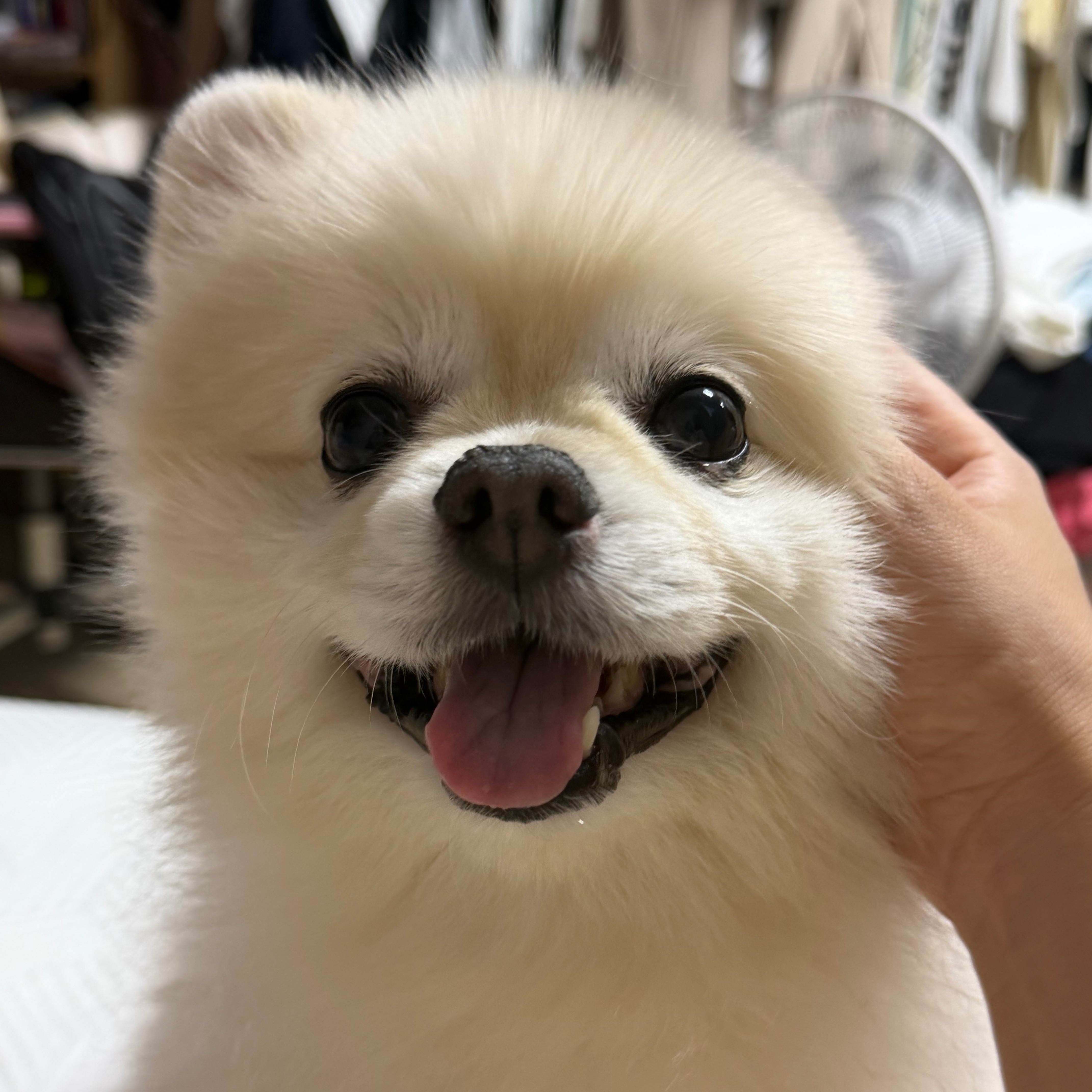 송송이의 프로필 사진 2