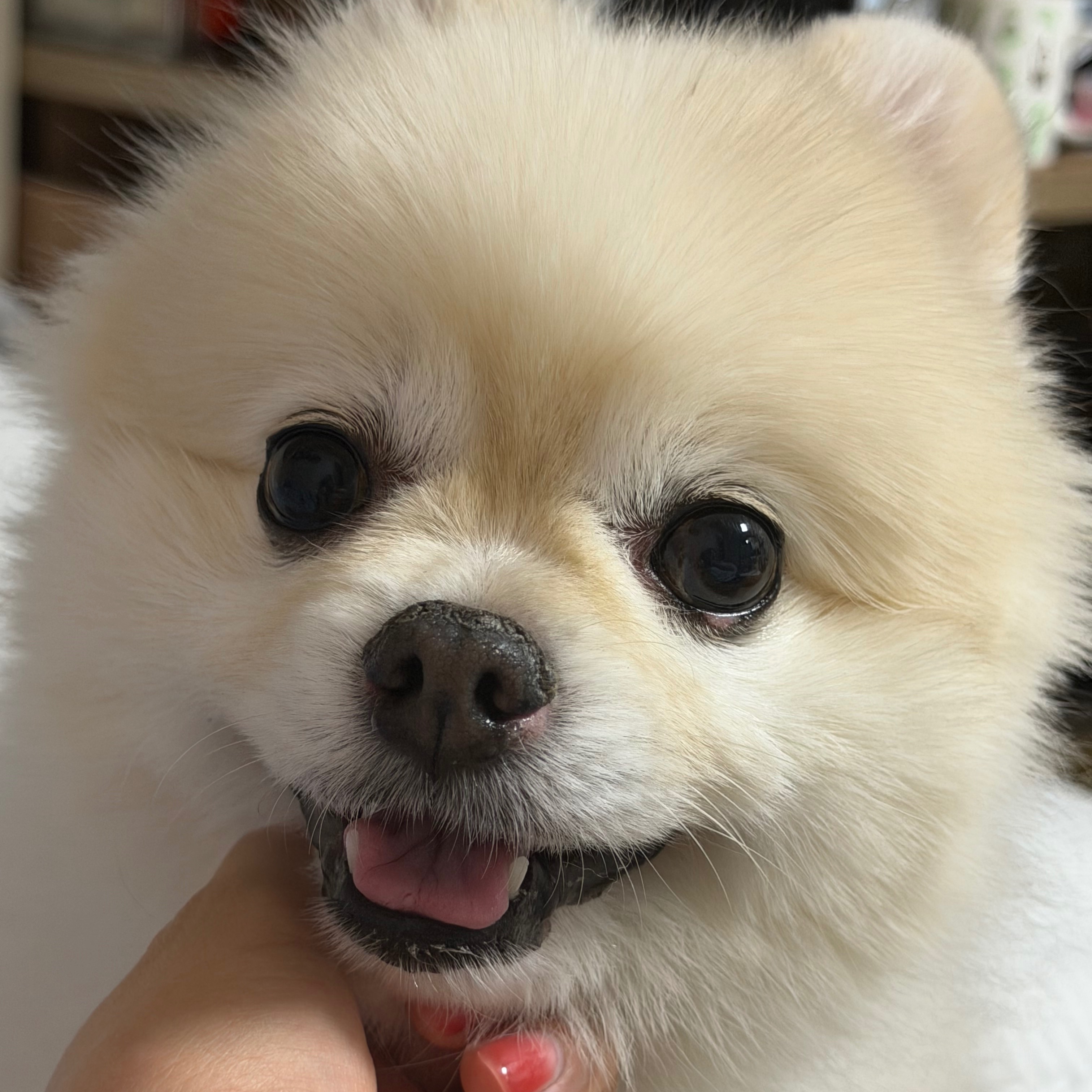 송송이의 프로필 사진 3