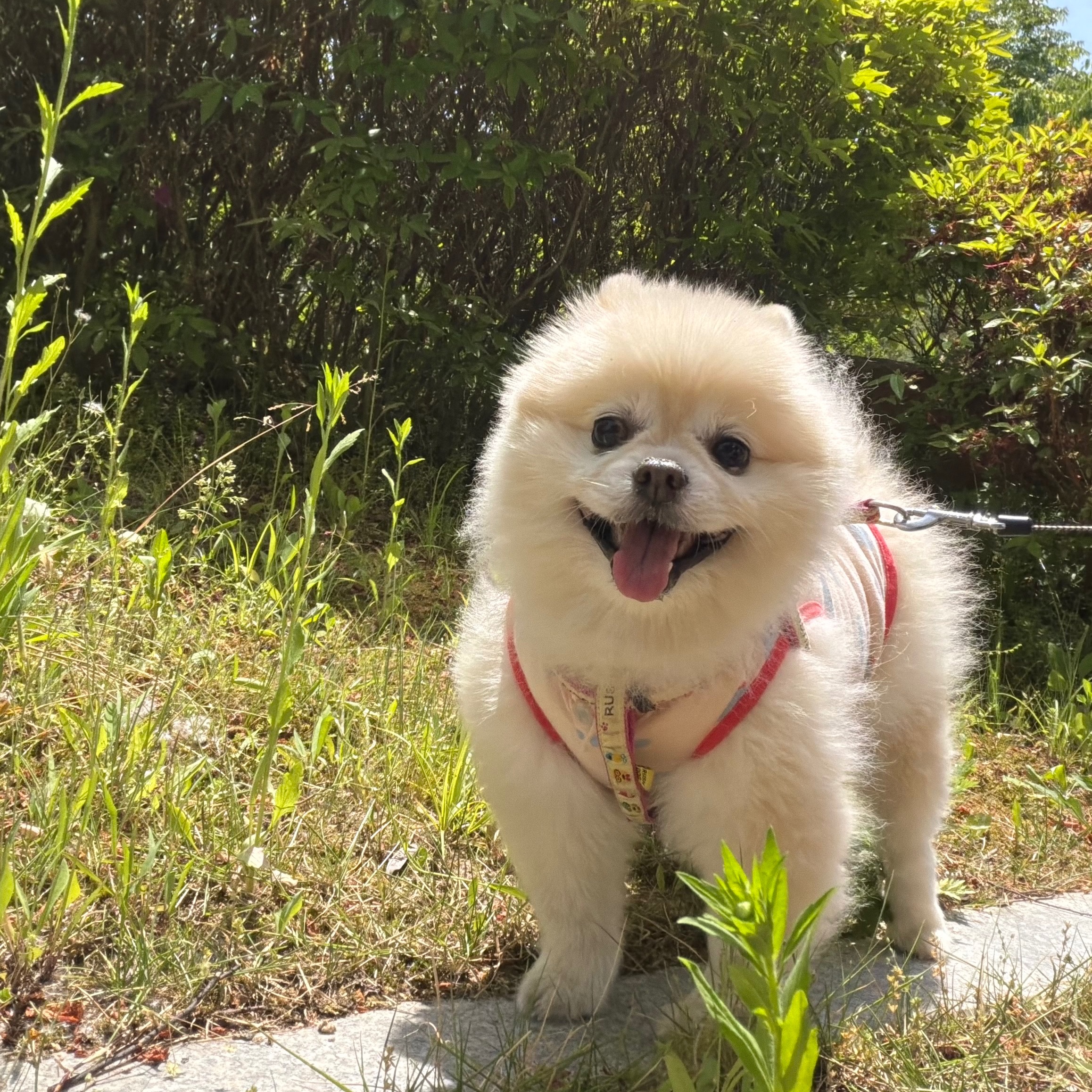송송이의 프로필 사진 4
