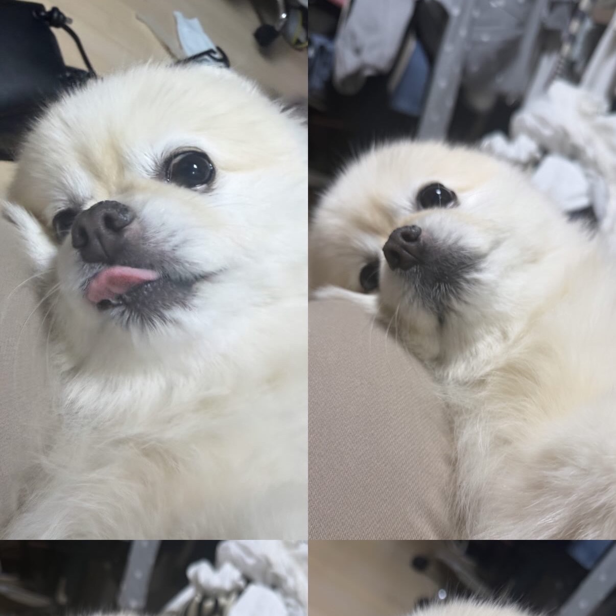 송송이의 프로필 사진 5