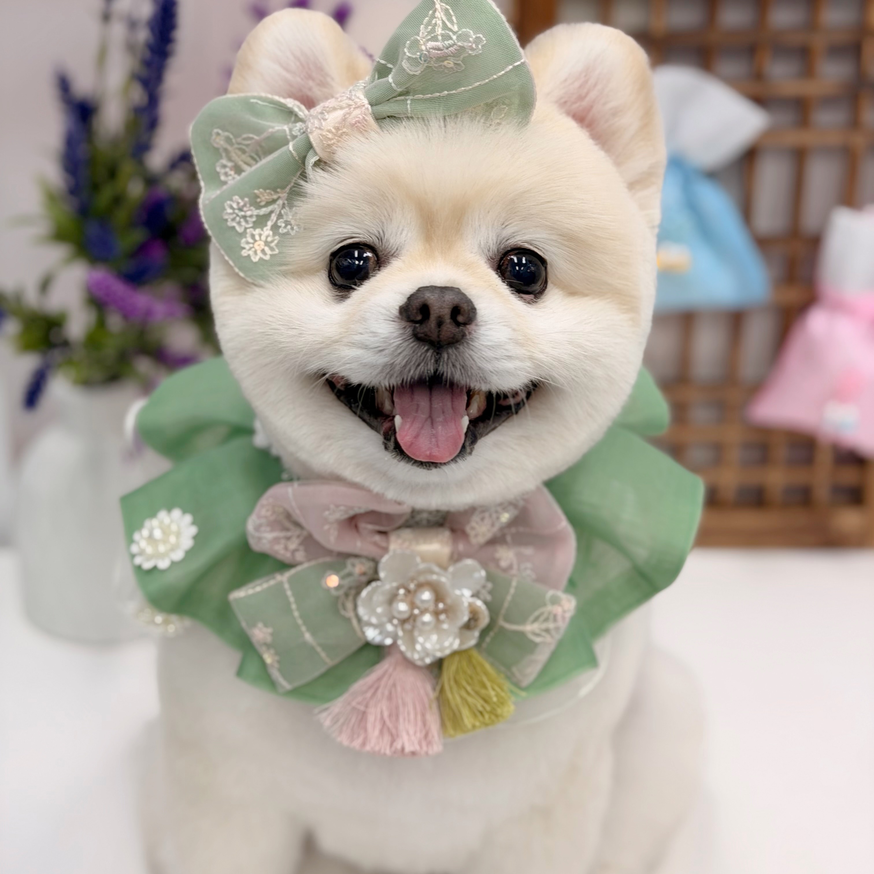송송이의 프로필 사진 8