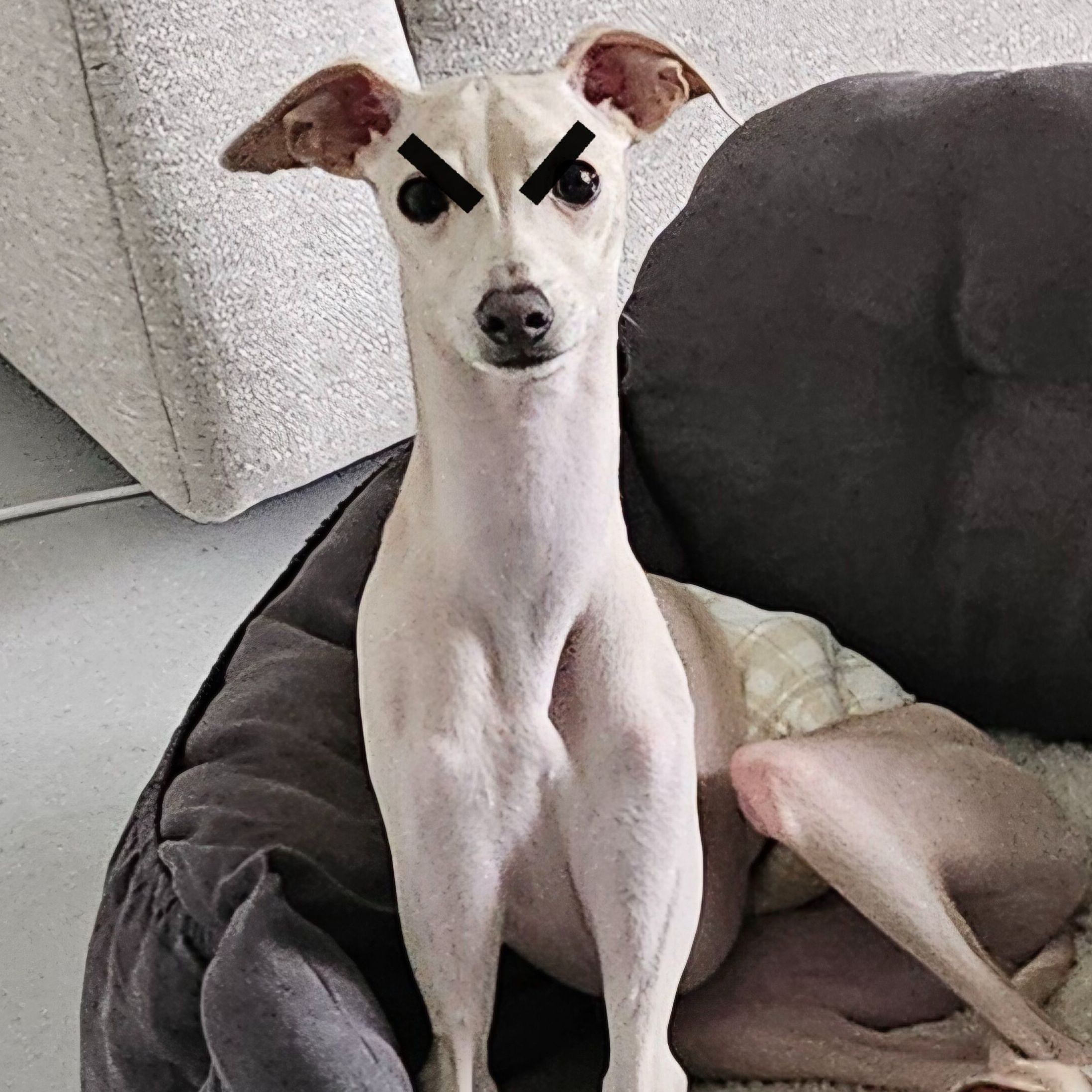 아리의 프로필 사진 1